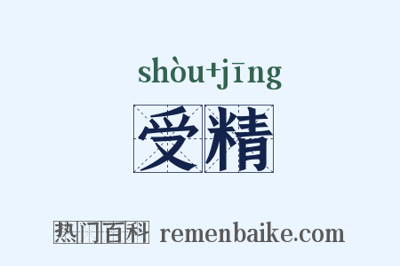 受精是什么意思的图片